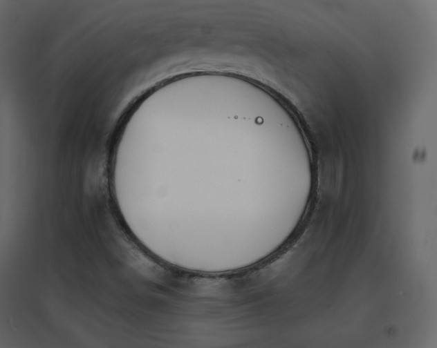 X0000096691498200802051333