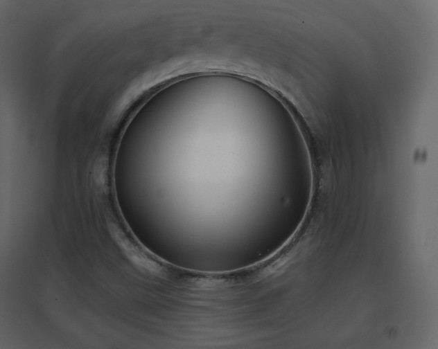 X0000096691499200802051333