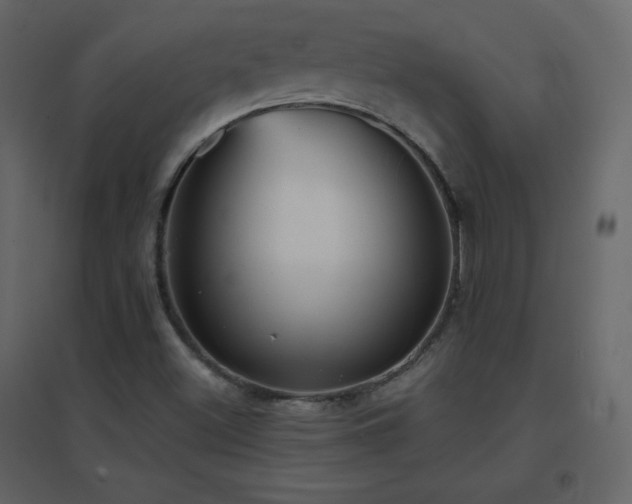 X0000096691500200802051333