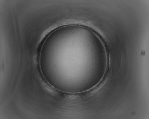 X0000096691501200802051333