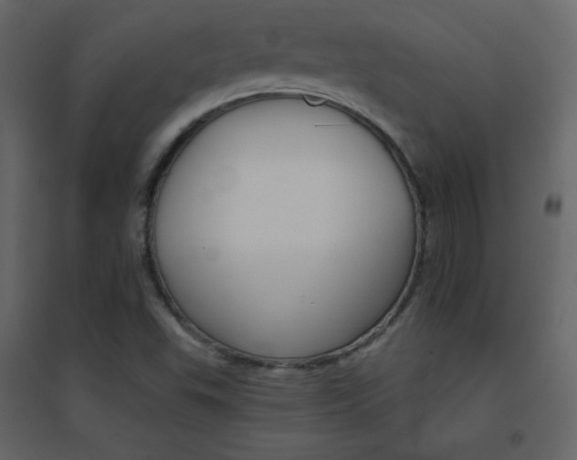 X0000096691503200802051333