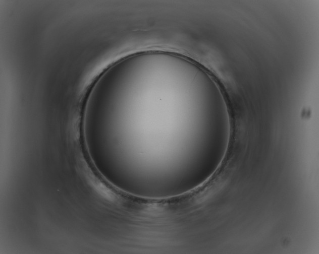 X0000096691504200802051333