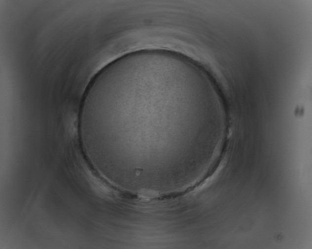 X0000096691505200802051333