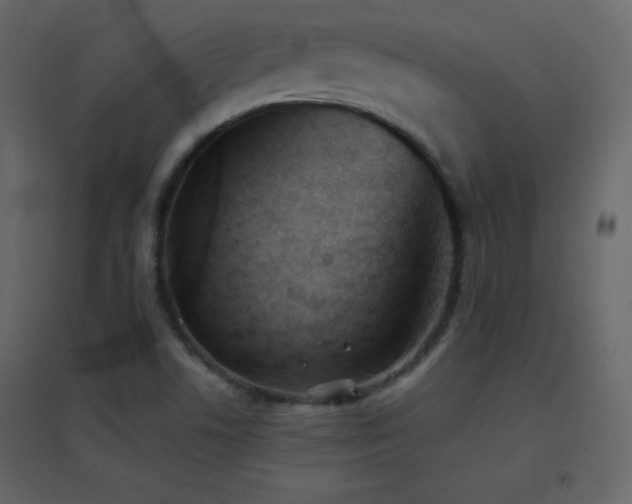 X0000096691506200802051333