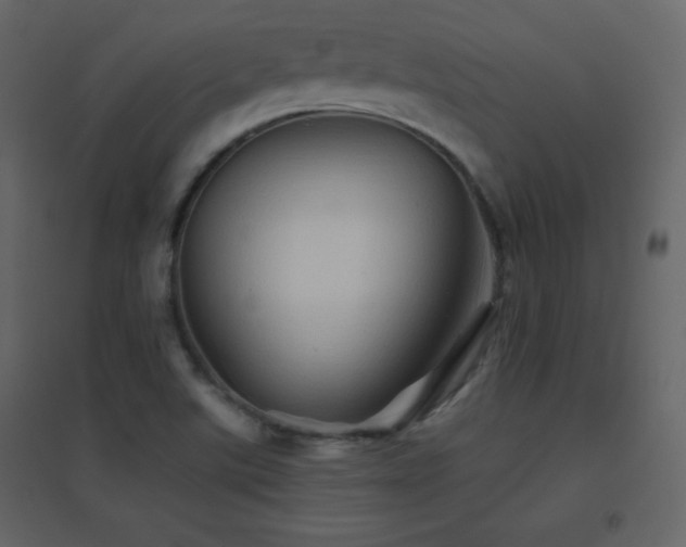 X0000096691507200802051333