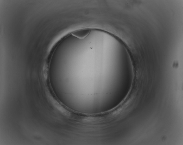X0000096691510200802051333