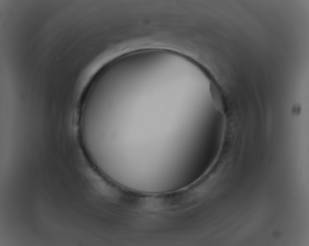 X0000096691511200802051333