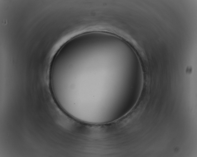 X0000096691512200802051333
