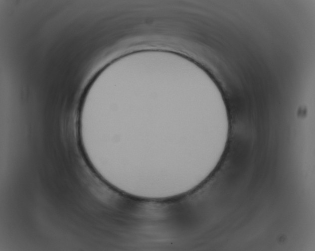 X0000096691514200802051333