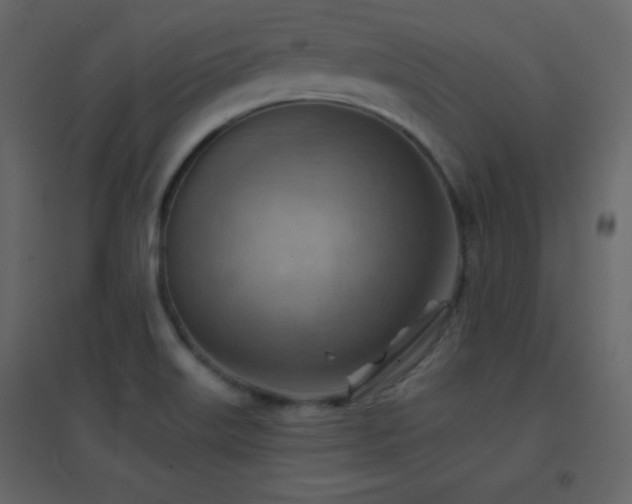 X0000096691515200802051333