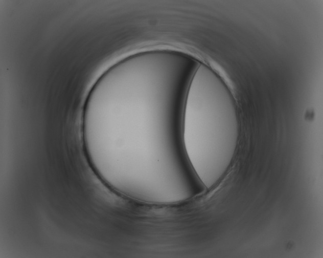 X0000096691516200802051333