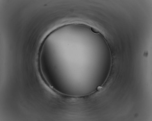 X0000096691518200802051333