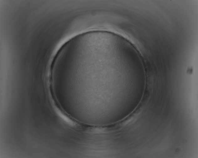 X0000096691519200802051333