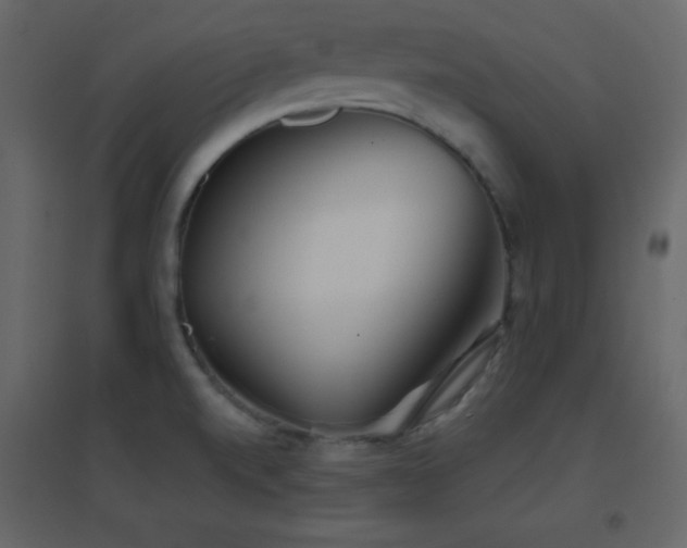 X0000096691520200802051333