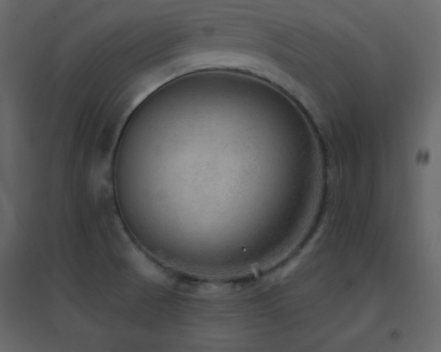 X0000096691521200802051333
