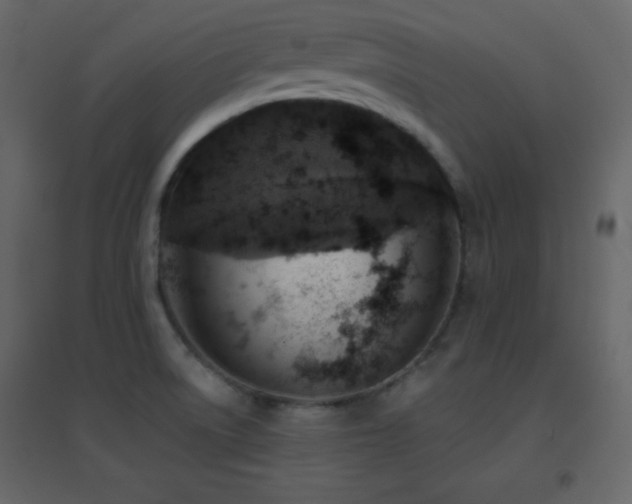 X0000096691522200802051333