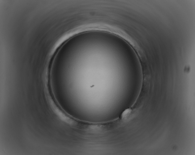 X0000096691523200802051333