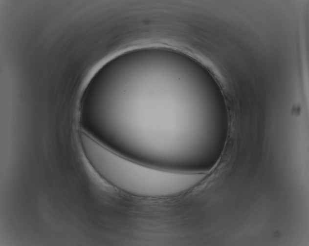 X0000096691524200802051333