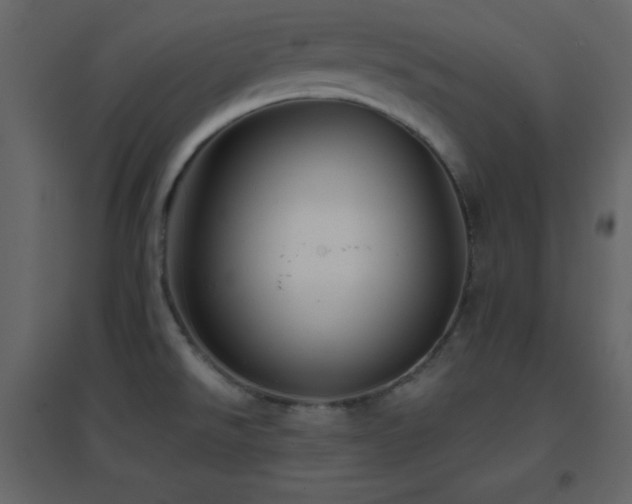 X0000096691526200802051334