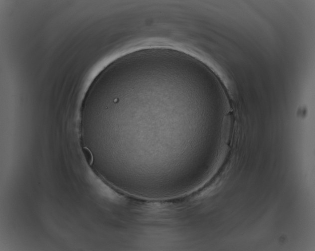 X0000096691527200802051334