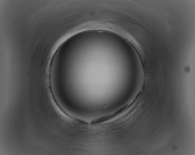 X0000096691528200802051334