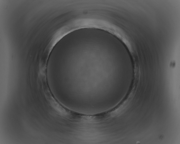 X0000096691529200802051334