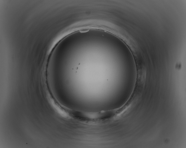 X0000096691530200802051334
