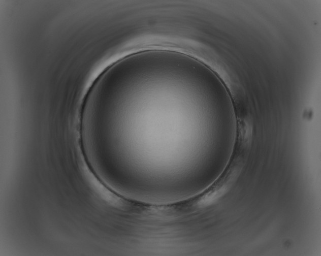 X0000096691531200802051334