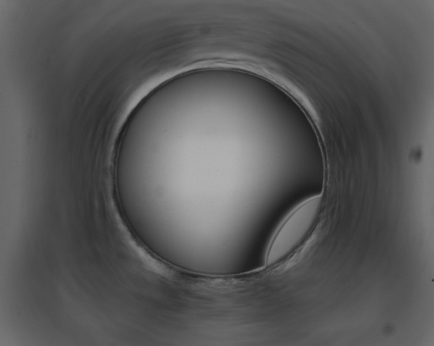 X0000096691533200802051334