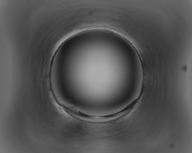 X0000096691534200802051334