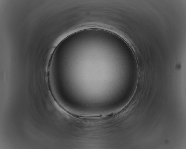 X0000096691535200802051334