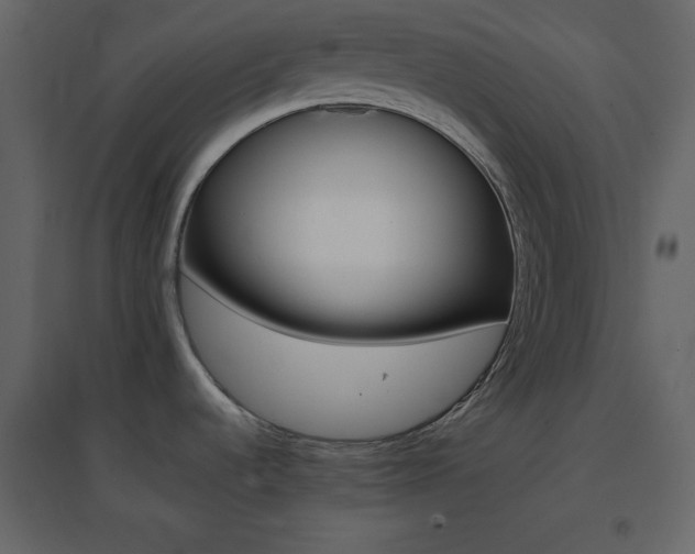 X0000096691536200802051334