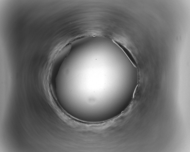 X0000096690001200802121242