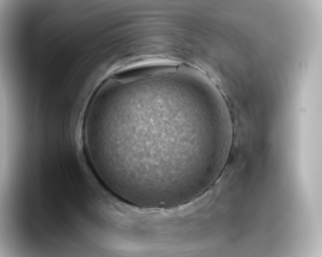 X0000096690002200802121242