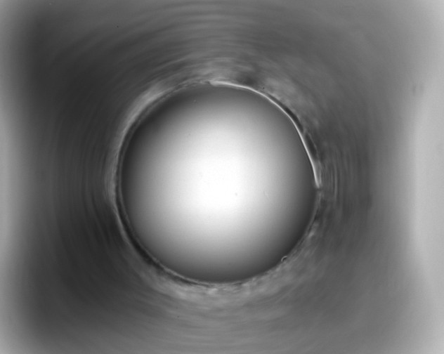 X0000096690003200802121242