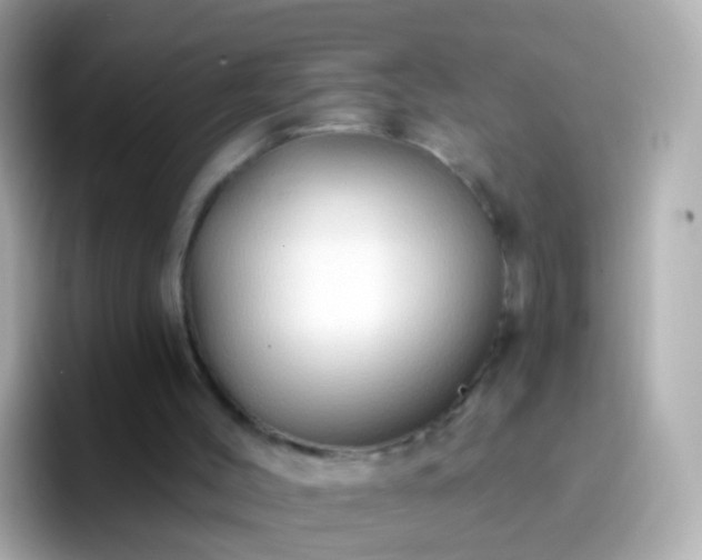 X0000096690004200802121242