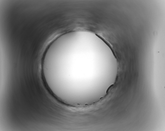 X0000096690005200802121242