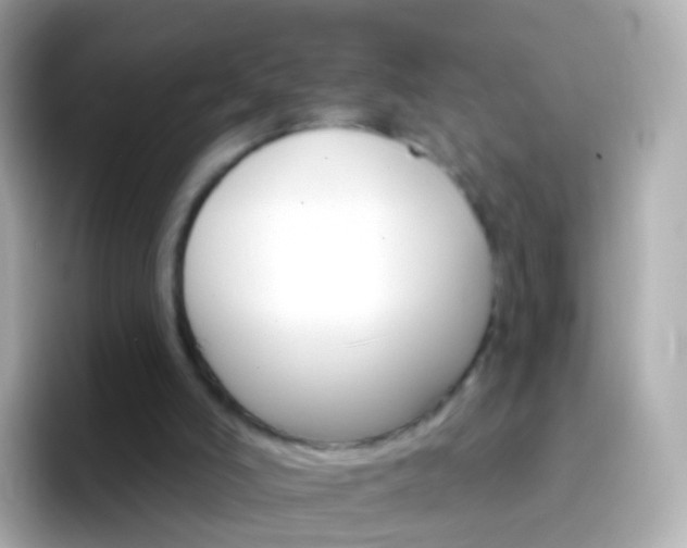 X0000096690006200802121242