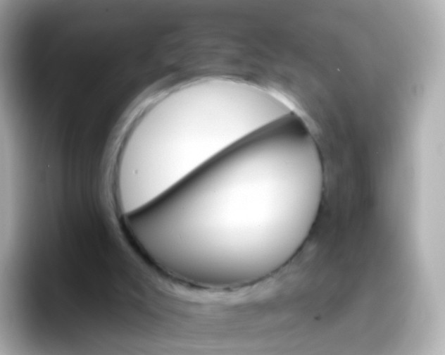 X0000096690007200802121242