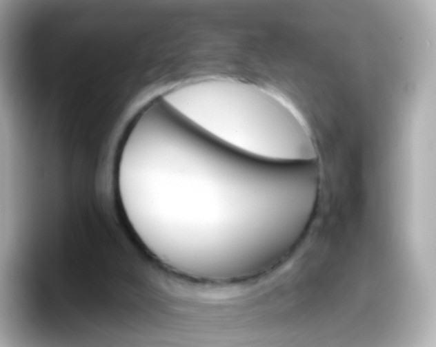 X0000096690008200802121242