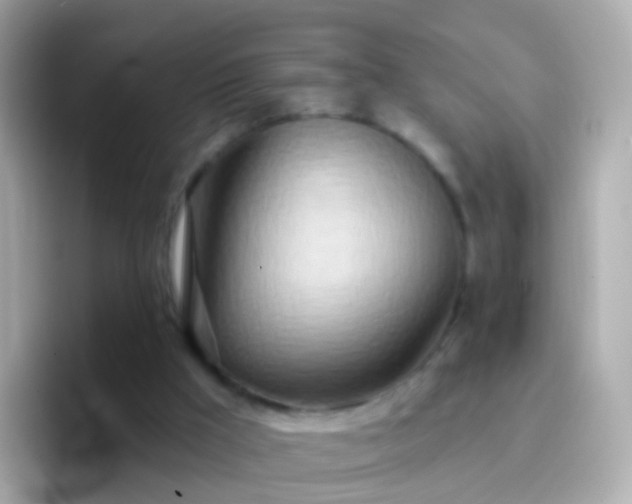 X0000096690009200802121242