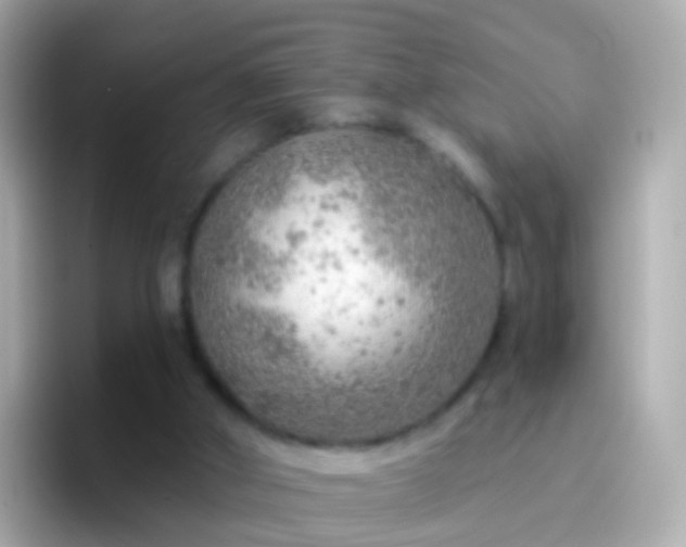 X0000096690010200802121242