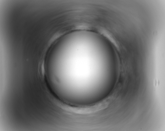 X0000096690011200802121242