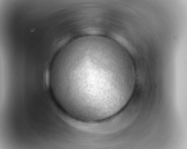 X0000096690014200802121242