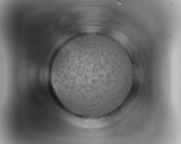 X0000096690016200802121242