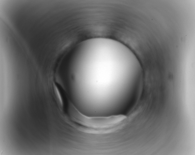 X0000096690017200802121242