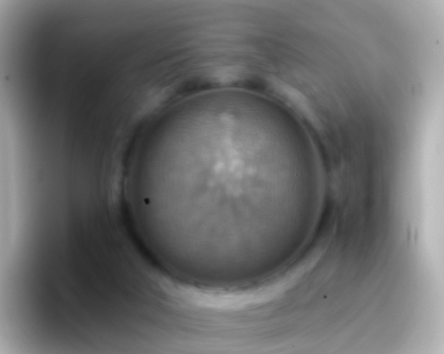 X0000096690018200802121242