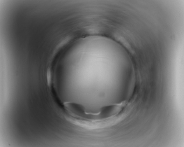 X0000096690019200802121242