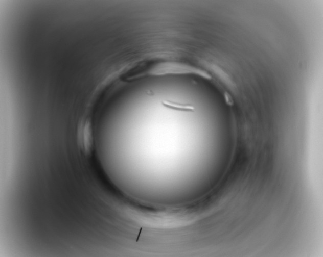 X0000096690020200802121242