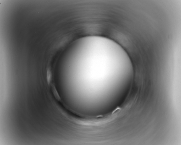 X0000096690021200802121242